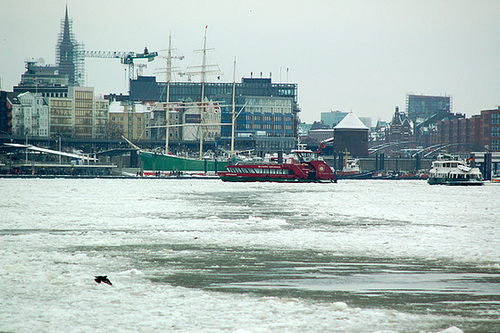 Winter 2010     40