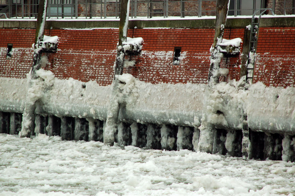 Winter 2010     51