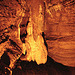 20070503 0382DSCw [LÖ] Erdmannshöhle, Hasel