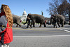 83.RinglingBros.Circus.Parade.SW.WDC.16March2010