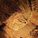 20070503 0383DSCw [LÖ] Erdmannshöhle, Hasel