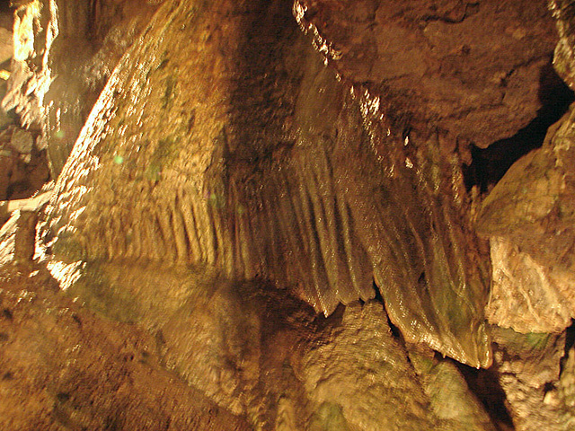 20070503-0391DSCw [LÖ] Erdmannshöhle, Hasel