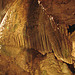 20070503-0391DSCw [LÖ] Erdmannshöhle, Hasel