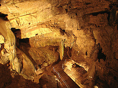 20070503 0384DSCw [LÖ] Erdmannshöhle, Hasel