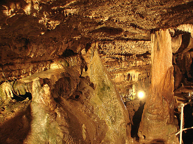 20070503 0385DSCw [LÖ] Erdmannshöhle, Hasel