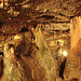 20070503 0385DSCw [LÖ] Erdmannshöhle, Hasel