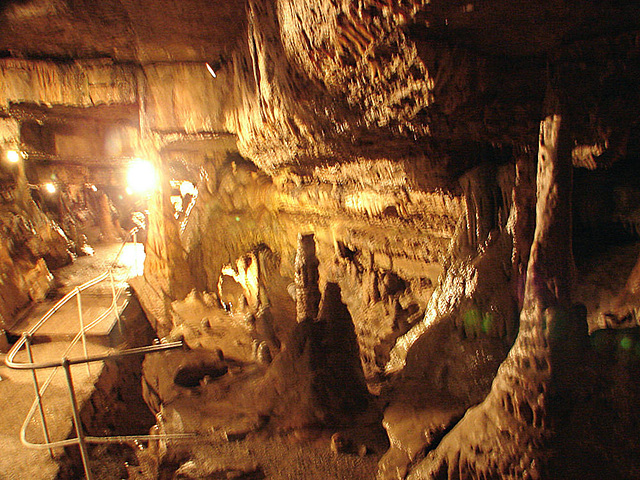20070503 0386DSCw [LÖ] Erdmannshöhle, Hasel