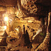 20070503 0386DSCw [LÖ] Erdmannshöhle, Hasel