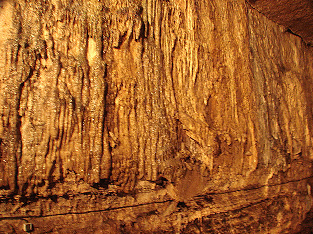 20070503 0387DSCw [LÖ] Erdmannshöhle, Hasel