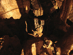 20070503 0388DSCw [LÖ] Erdmannshöhle, Hasel