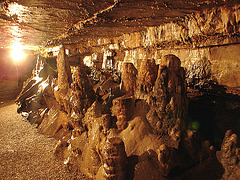 20070503 0389DSCw [LÖ] Erdmannshöhle, Hasel