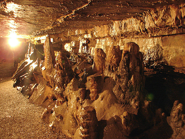 20070503 0389DSCw [LÖ] Erdmannshöhle, Hasel