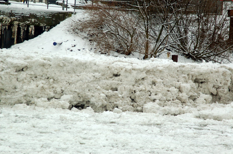 Winter 2010     65