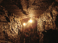 20070503-0392DSCw [LÖ] Erdmannshöhle, Hasel