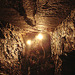 20070503-0392DSCw [LÖ] Erdmannshöhle, Hasel