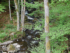 20070430 0297DSCw [D~FR] Ravenna, Ravennaschlucht, Breitau