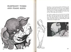 Elephant Tusks and Piano Keys