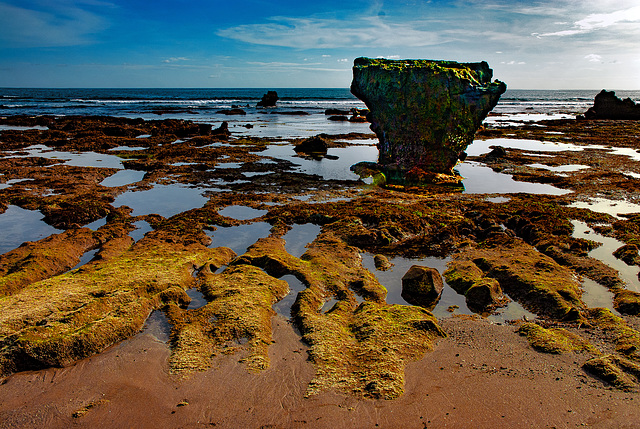 Canggu beach during low tide