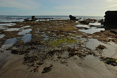 Canggu beach during low tide