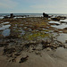 Canggu beach during low tide