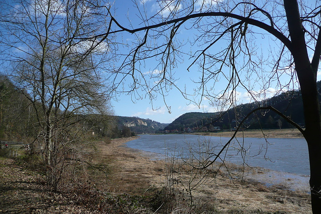 Frühlingsspaziergang an der Elbe in und bei Wehlen 28.2.2010