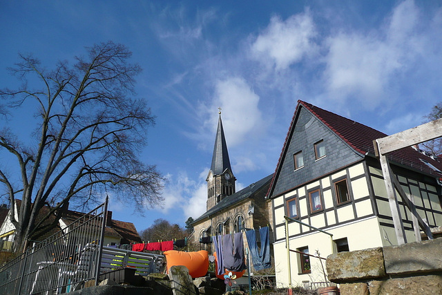 Frühlingsspaziergang an der Elbe in und bei Wehlen 28.2.2010