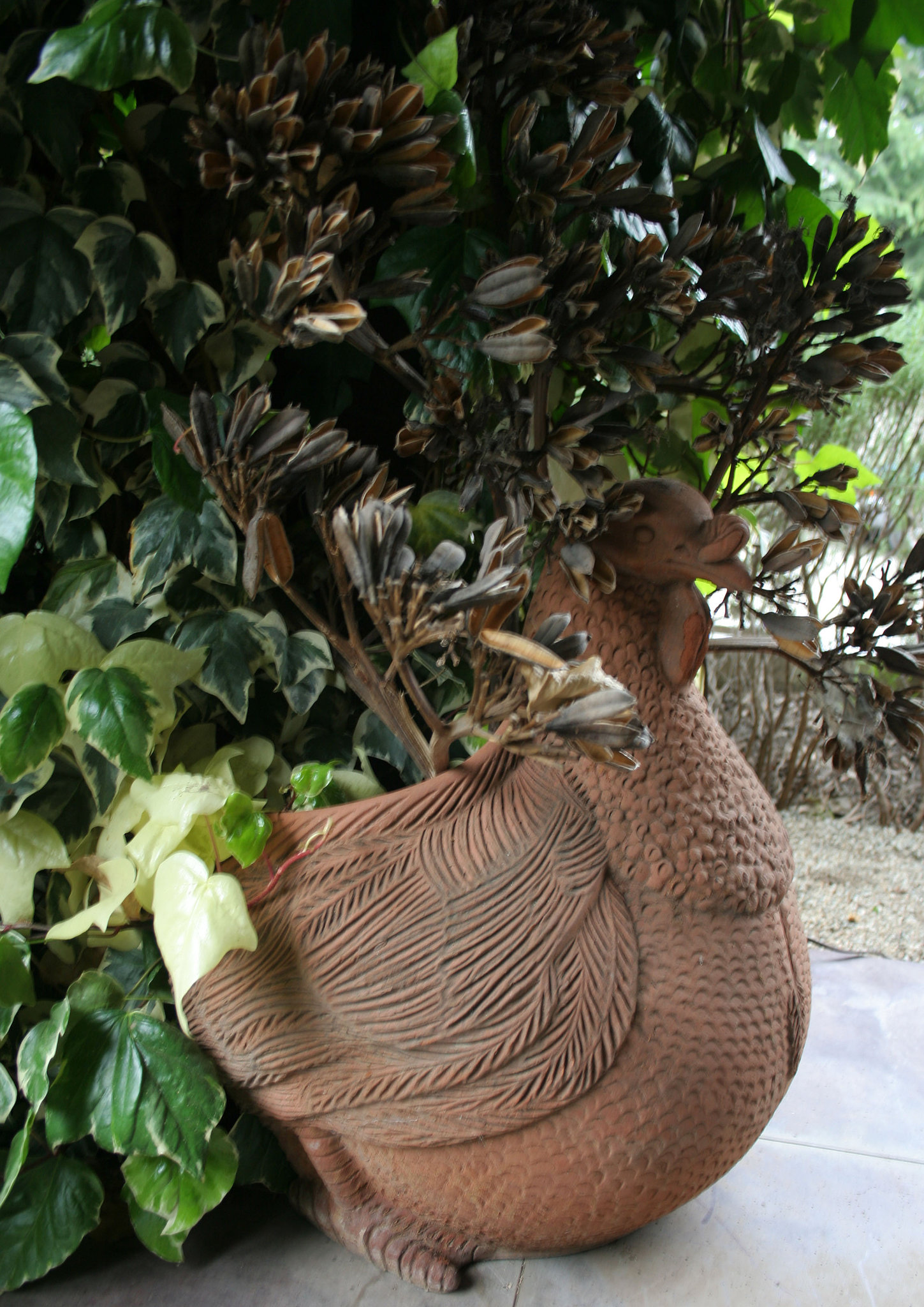 L.A. Garden Tour (6502)