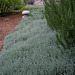 L.A. Garden Tour (6506)