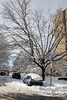 11.DayAfterSnowBlizzard.300N.SW.WDC.7February2010