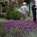 L.A. Garden Tour (6516)