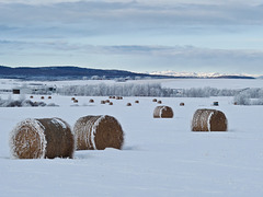 The beauty of winter