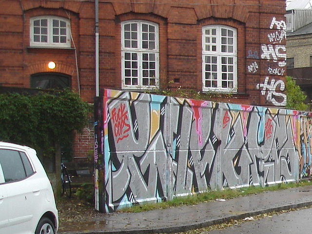 Fuck cups graffiti  / Polices !!  Foutez le camp !  / Christiania - Copenhagen / Copenhague.  26 octobre 2008