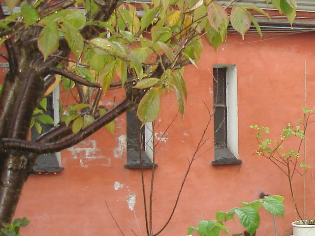 Hidden bikes house /  La maison aux vélos cachés - Christiania - Copenhagen / Copenhague.  26 octobre 2008