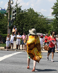 07.6thNationalMemorialDayParade.WDC.31May2010