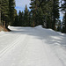 On the way to Glacier Point