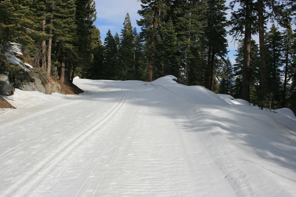 On the way to Glacier Point