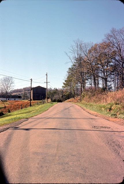 13-bucolic_rd_adj