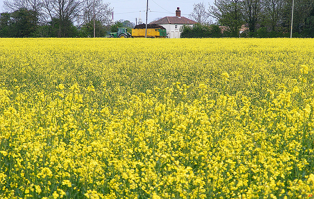 Tractor