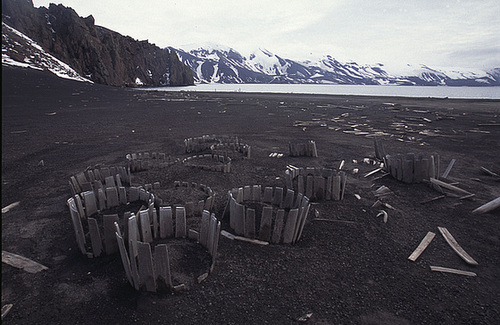 Old barrels - Deception Island