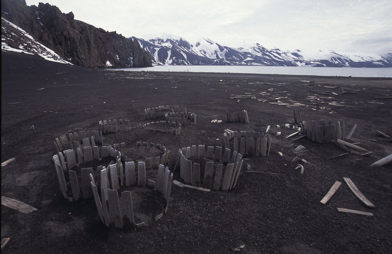 Old barrels - Deception Island