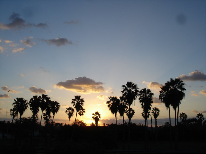 Varadero, CUBA.  Février 2010