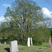 Vieux cimetière / Old cemetery -  Arundel, Québec - CANADA. 23-05-2010