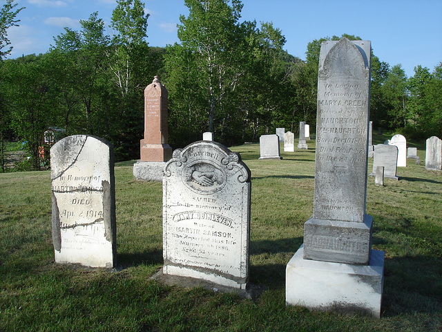 Vieux cimetière / Old cemetery -  Arundel, Québec - CANADA. 23-05-2010