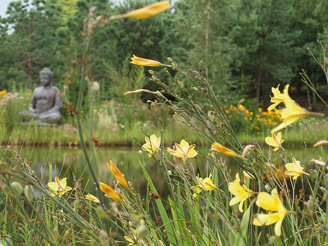 Wiesent: Der Nepal-Himalaya Pavillon