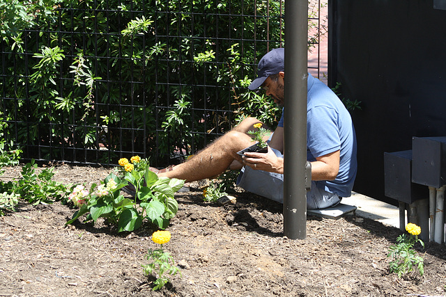 06.ArborDayPlanting.RiverPark.SW.WDC.15May2010