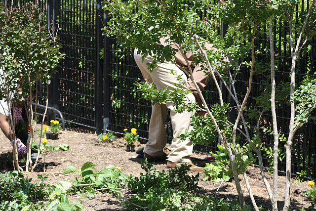 07.ArborDayPlanting.RiverPark.SW.WDC.15May2010