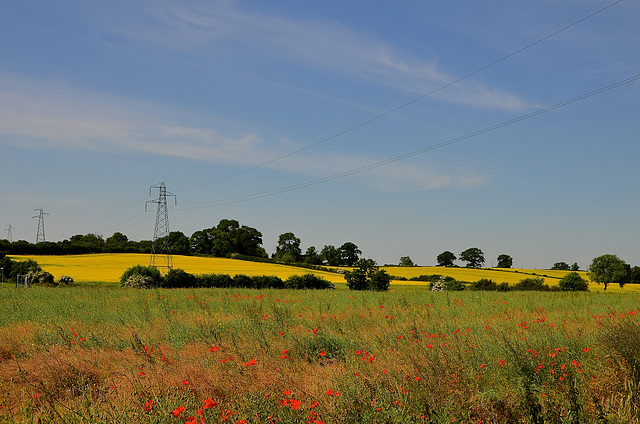 Staffordshire fields