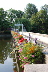 Brücke des Inselzoos in Altenburg