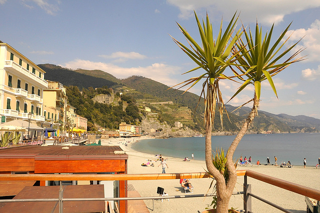 Monterosso - Riviera