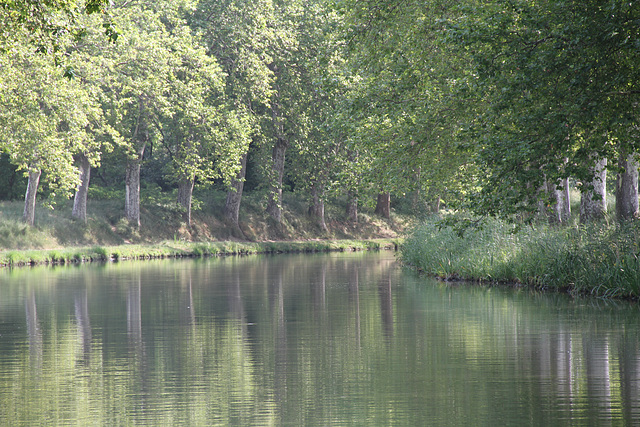 Canal du Midi près de Courgasse